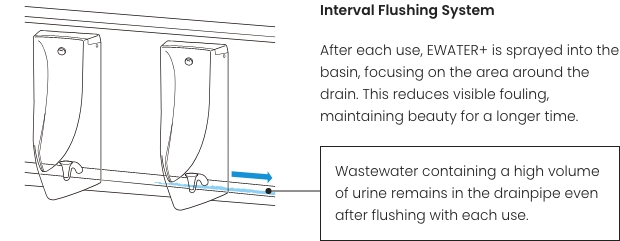 Interval Flushing System After each use, EWATER + is sprayed into the basin, focusing on the area around the drain. This reduces visible fouling, maintaining beauty for a longer time. Wastewater containing a high volume of urine remains in the drainpipe even after flushing with each use.